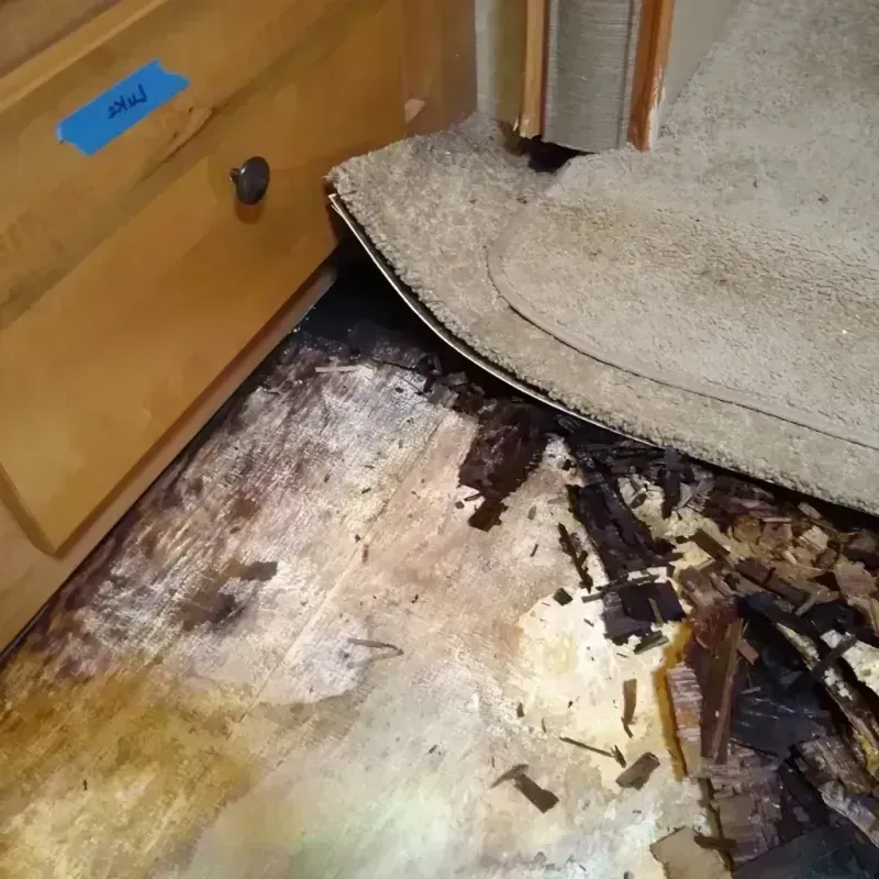 Wood Floor Water Damage in Leesburg, OH